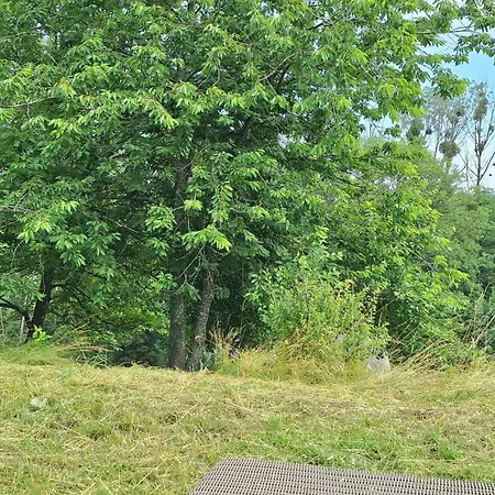 Semesterbostad Westerourthe 2 Personen Sauna *